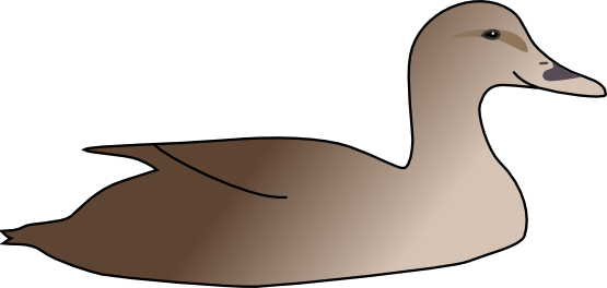 Duck swimming clipart