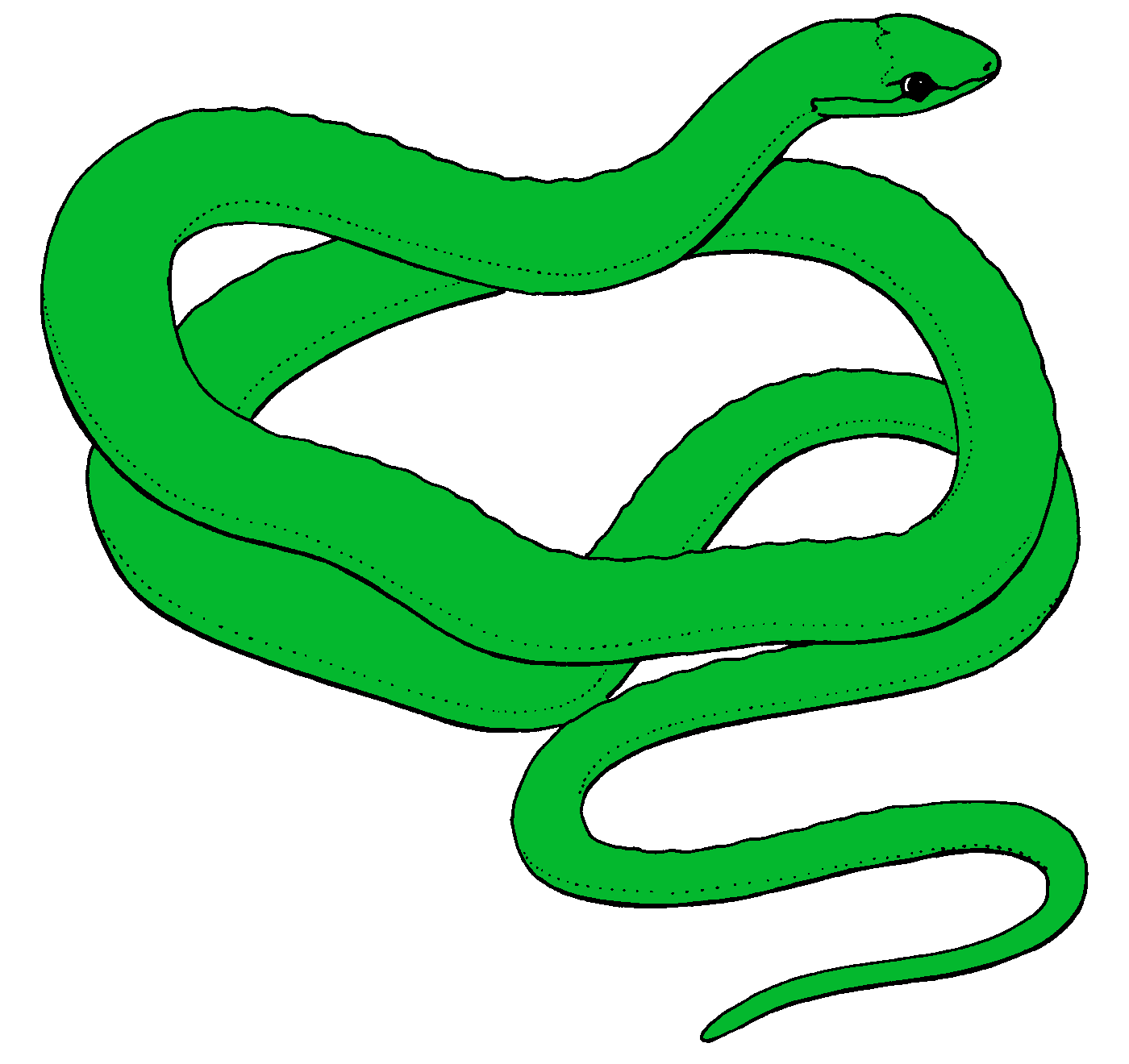Snake Images Clip Art