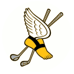 Baltusrol, Olympic, Winged Foot logos - likeness a coincidence ...