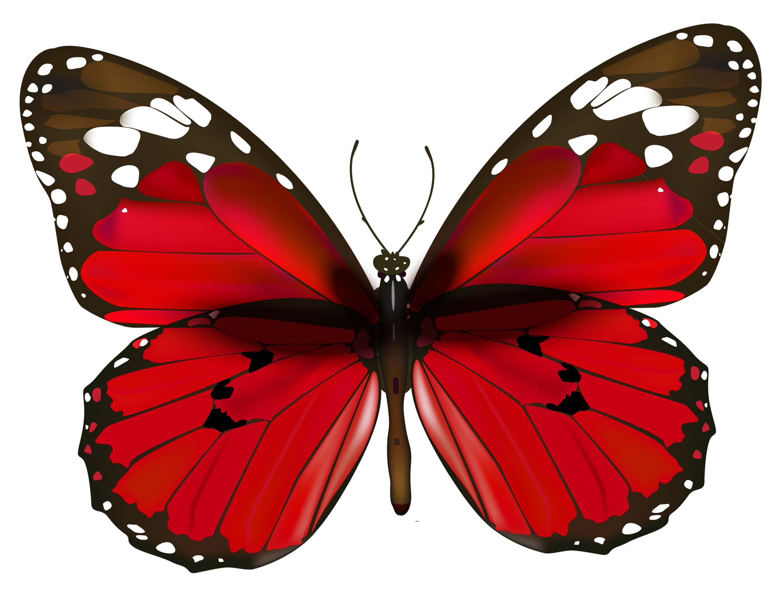 png clipart- butterfly pack - photo #3