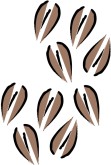 Espresso Clip Art and Menu Graphics - MustHaveMenus( 111 found )