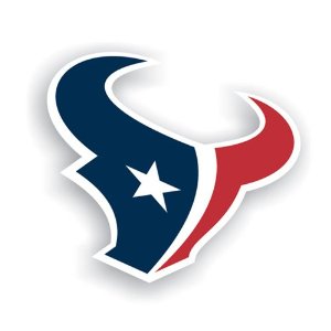 Houston Texans Bull Head Logo Car Magnet: Sports ...