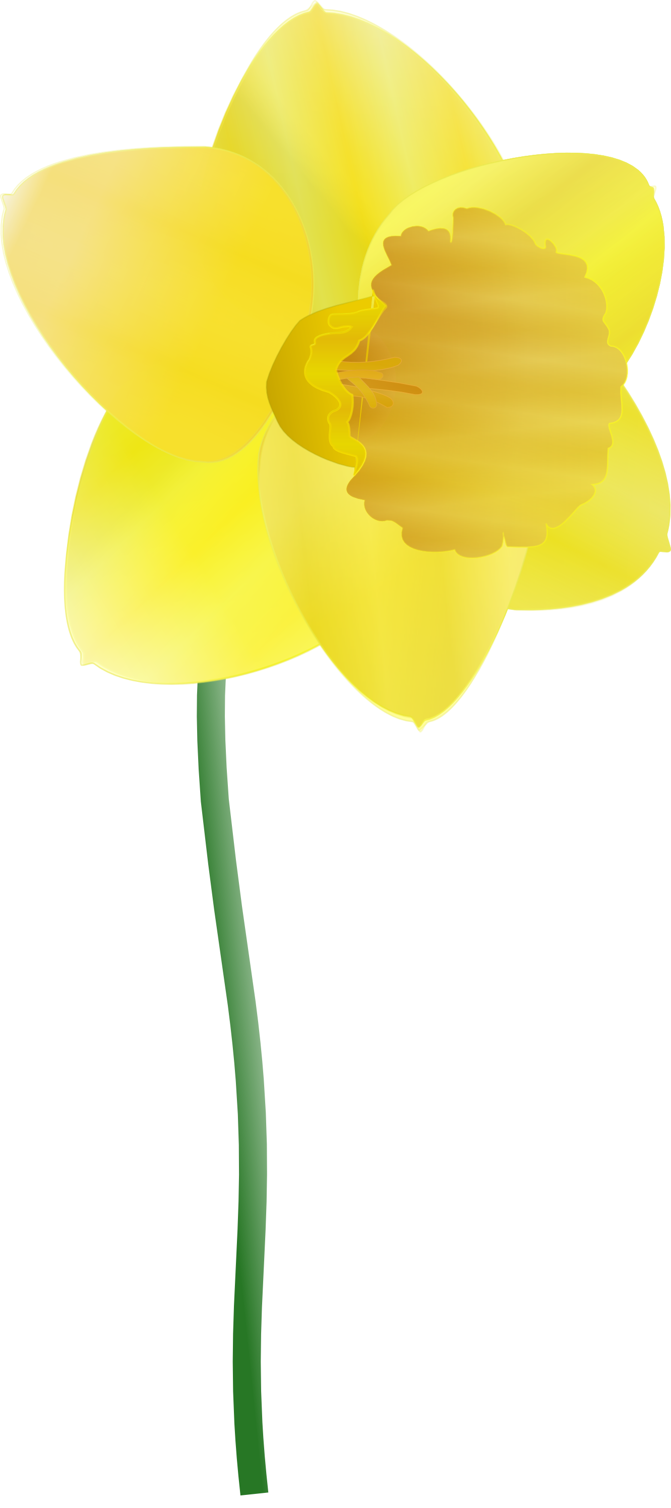 free clip art daffodil flowers - photo #25
