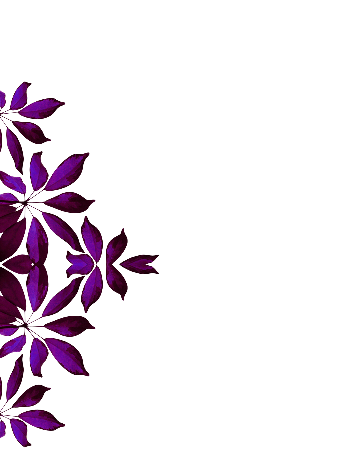 Gothic Flower Border Design - ClipArt Best