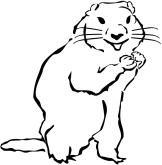 Groundhog Day Clip Art - ClipArt Best