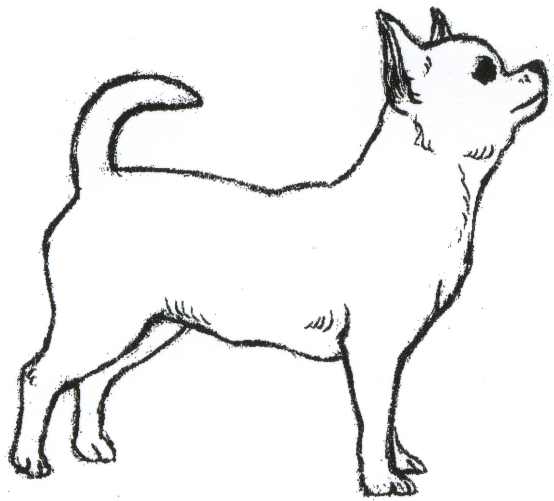 dog clipart drawing - photo #10