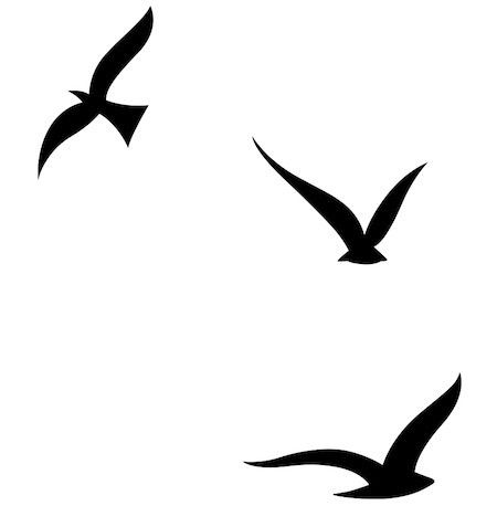 Three Birds Tattoo | Bird Tattoos ...