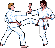 Karate Graphics and Animated Gifs