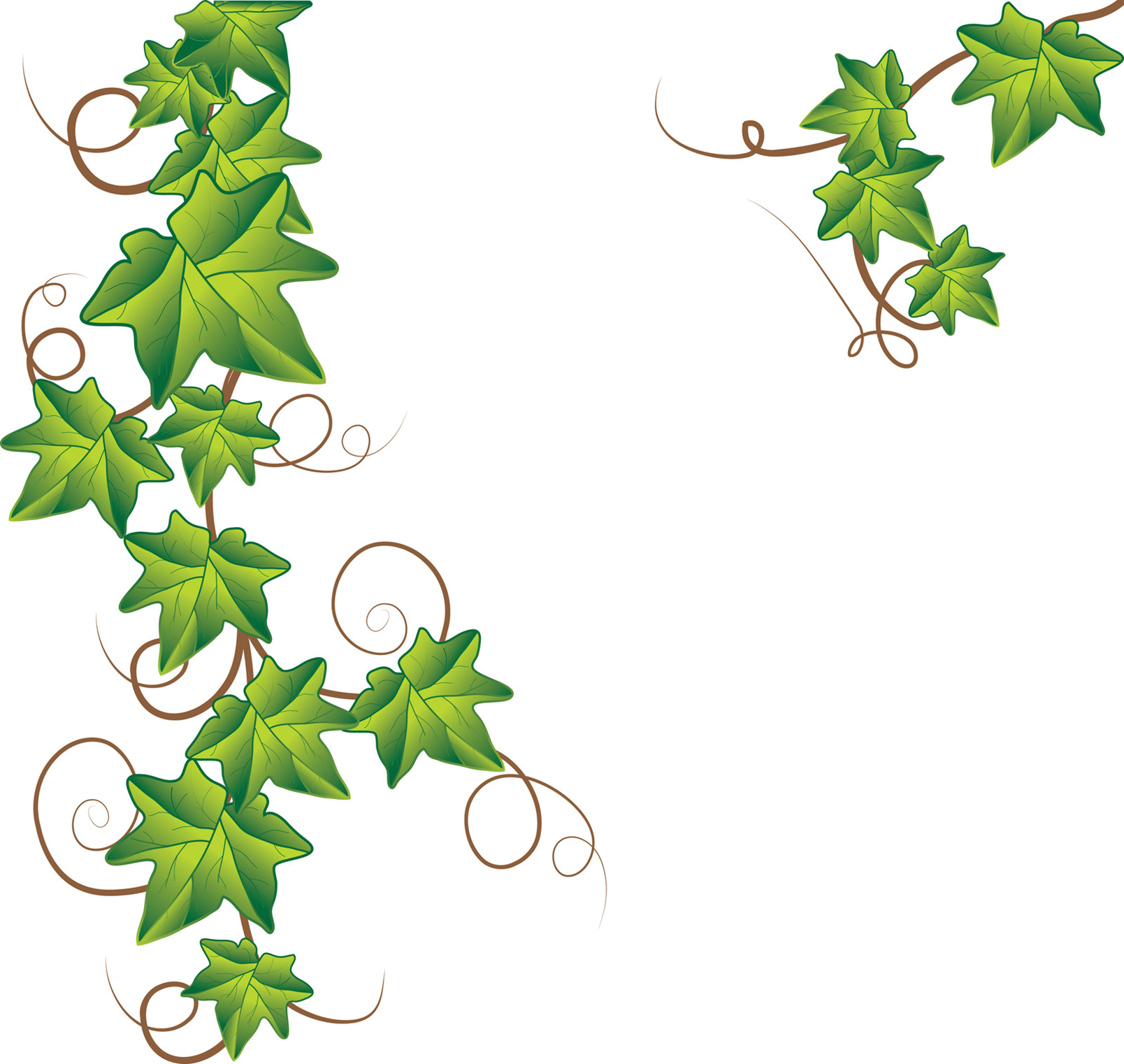 Ivy Leaf Border Clip Art