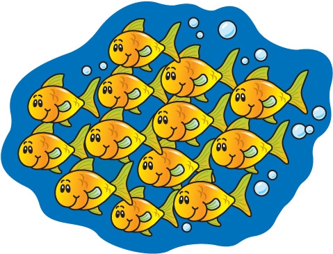 A School Of Fish Clipart