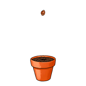 Animated gif of flowerpots and free images ~ Gifmania