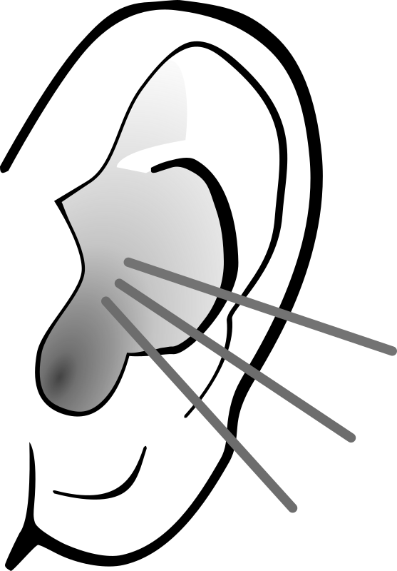 Image of anatomy clipart 3 human ear clip art vector free ...