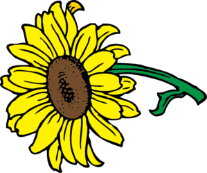 Sunflower clip art - vector clip art online, royalty free & public ...