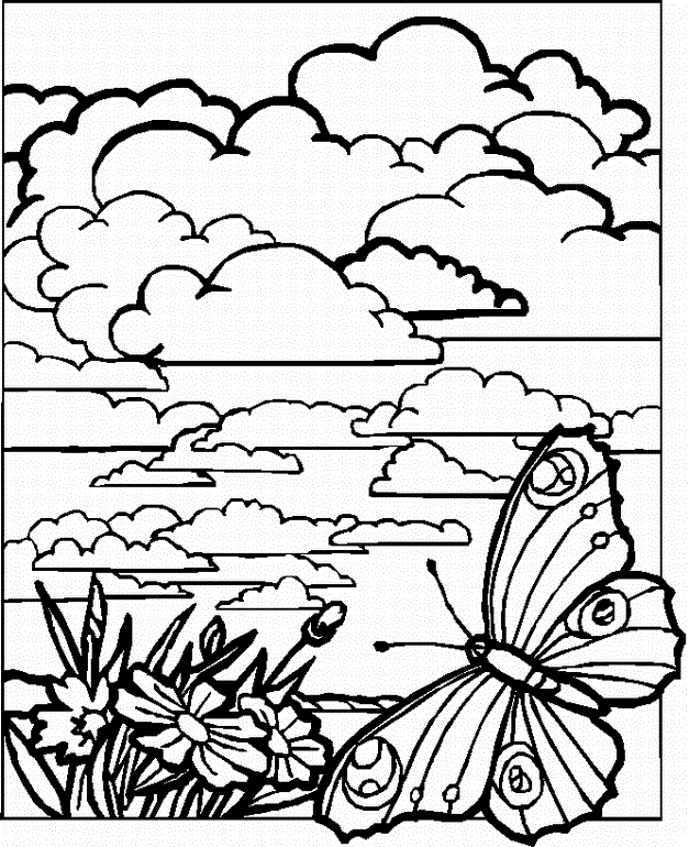 Butterfly | Coloring - Part 2