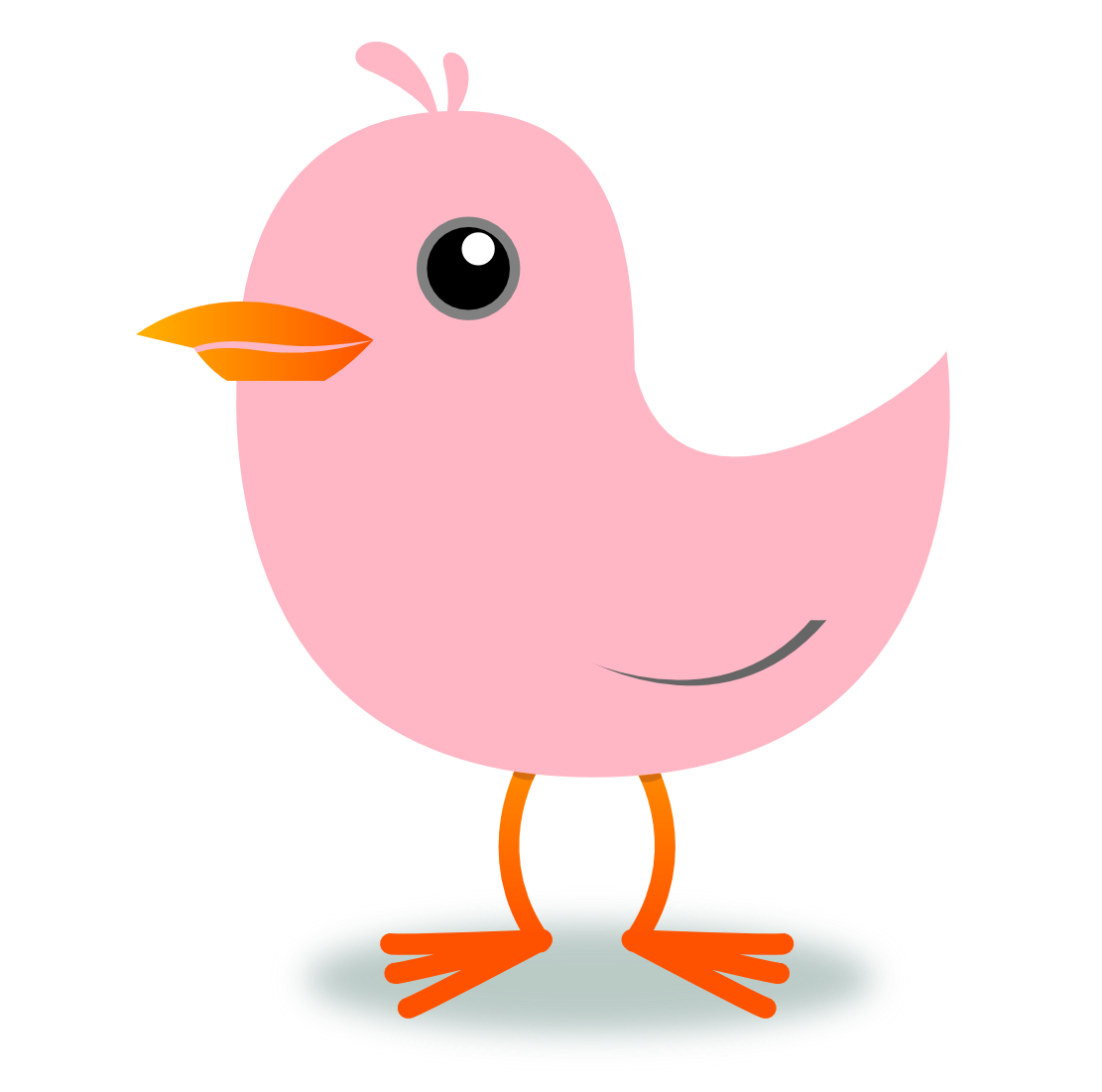 Tweet Twitter Bird Cherry Blossom Pink xochi.info scallywag ...