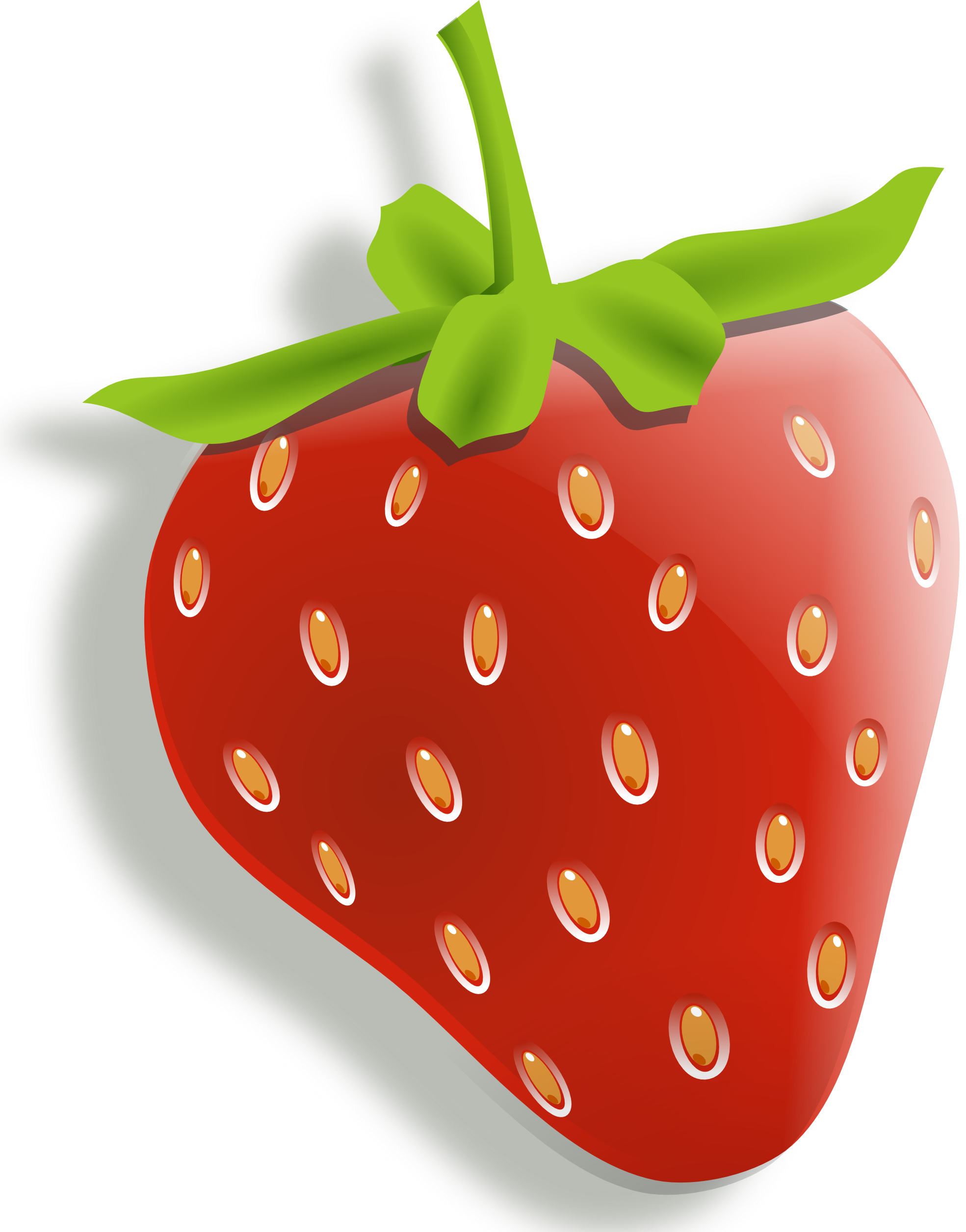 strawberry vine clipart - photo #42