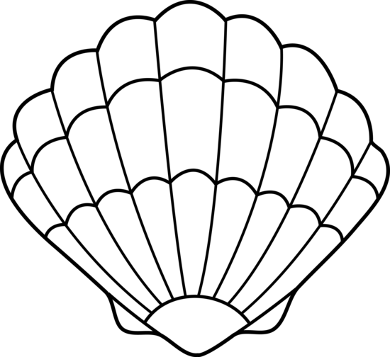 Seashell clipart outline black and white