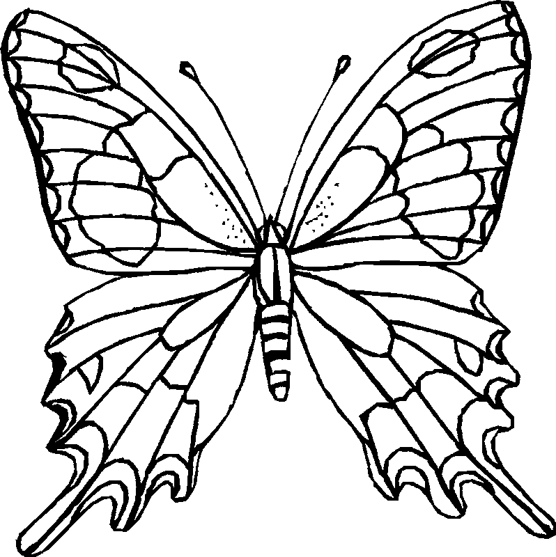 Butterfly Coloring Pages - AZ Coloring Pages
