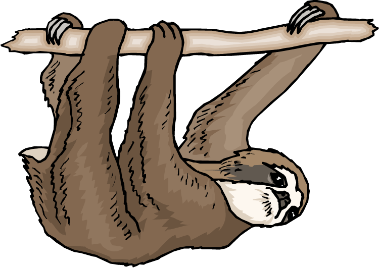 Sloth Clipart | Free Download Clip Art | Free Clip Art | on ...