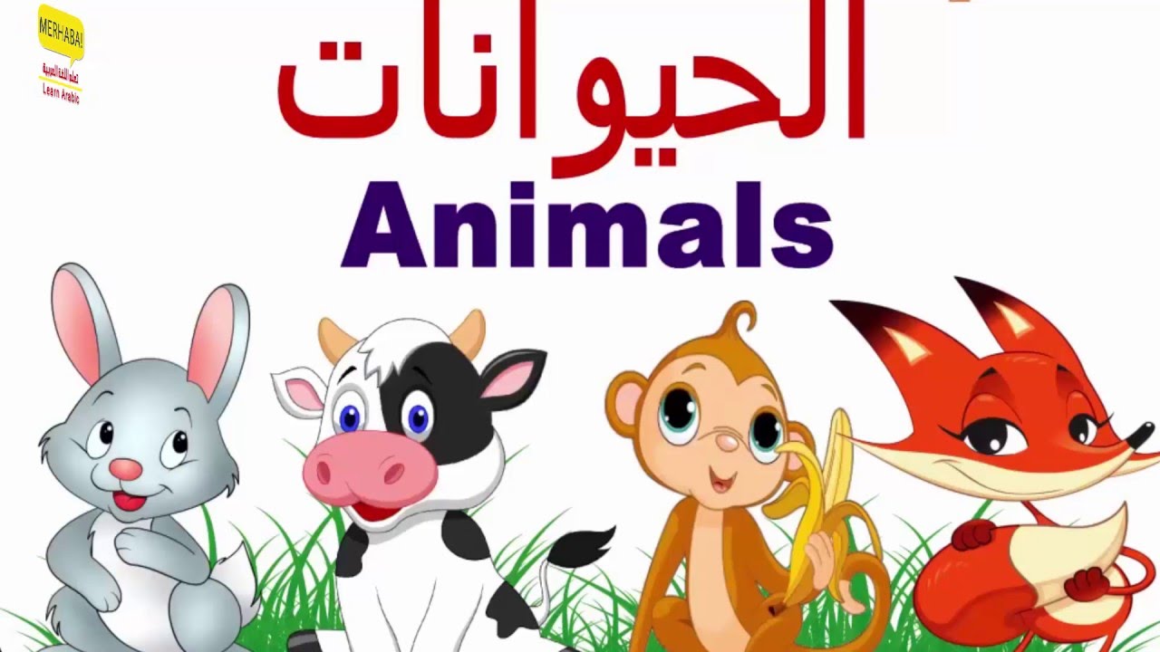 Learn Arabic Animals Names O O U O O O U Ou U U O Oª U U O U U Oºo C O U O O O U O C Clipart Best Clipart Best