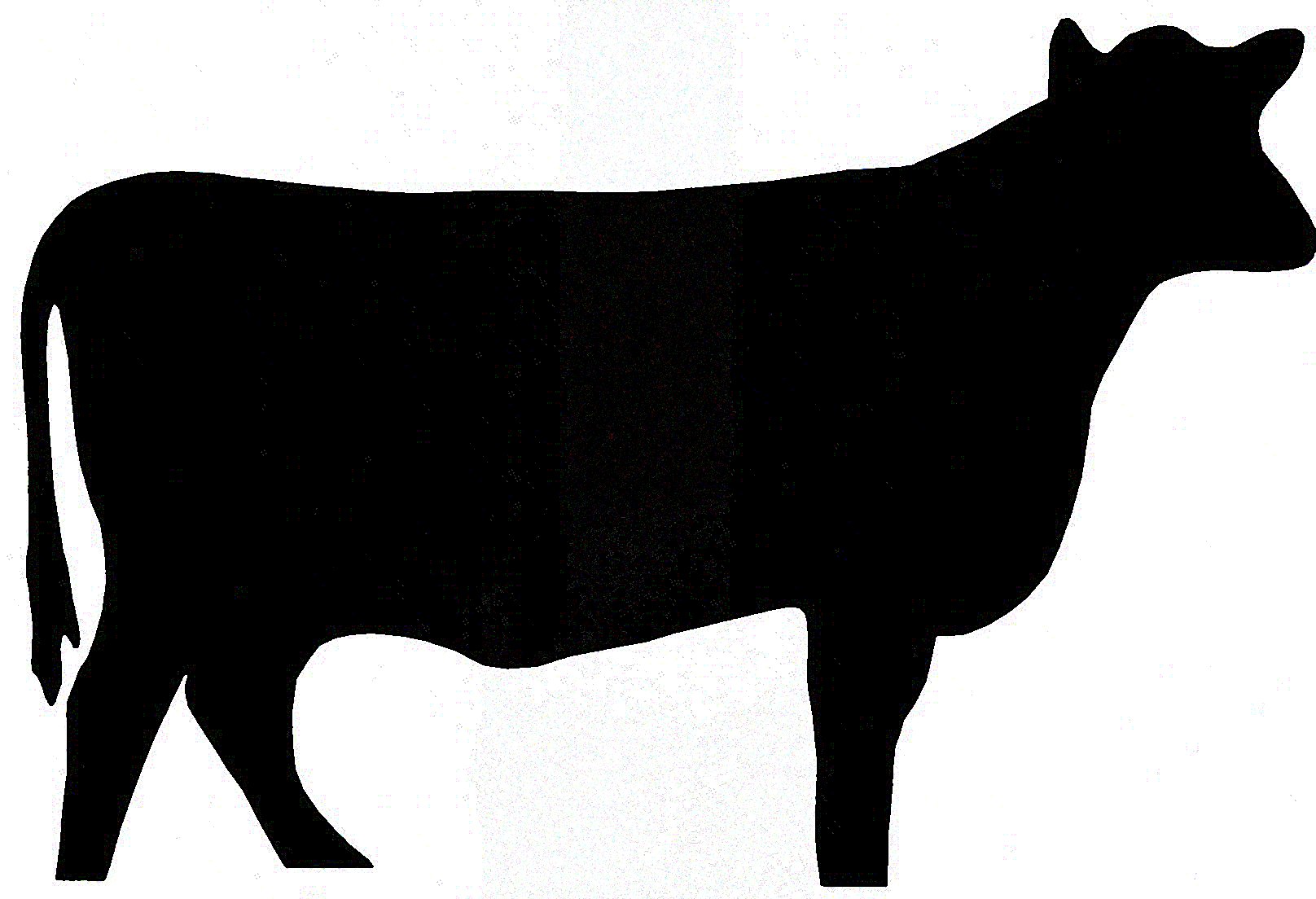 Cow Outline ClipArt Best