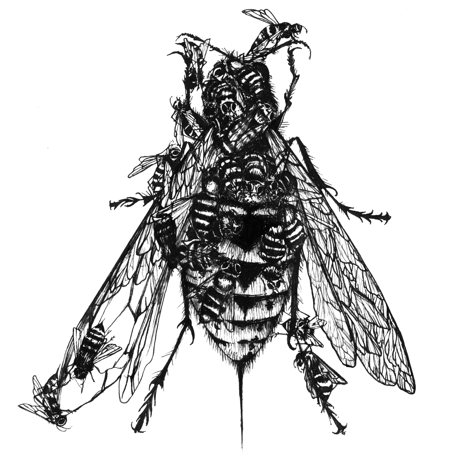 Honey Bee Illustration | Free Download Clip Art | Free Clip Art ...
