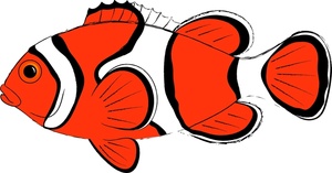 Clown Fish Clipart Image: Clown Fish