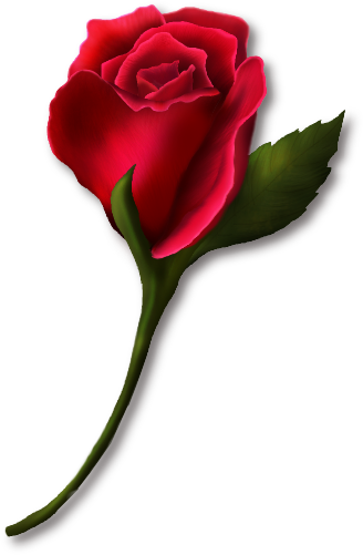 Single Red Rose Clipart