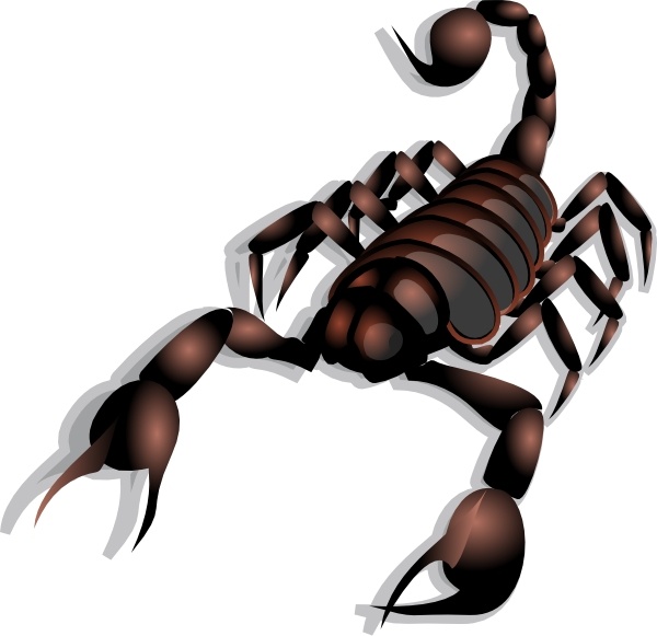 Scorpion clip art Free vector in Open office drawing svg ( .svg ...