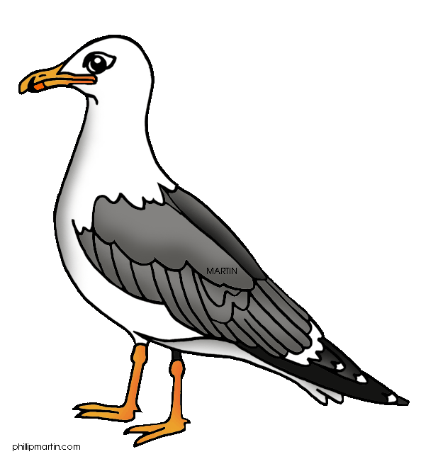 free clip art seagull cartoon - photo #27
