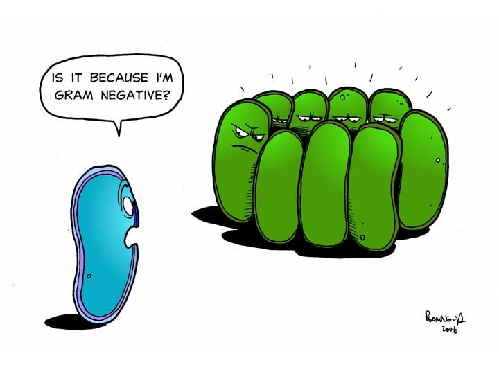 Bacteria Cartoon | Microbiology, B ...