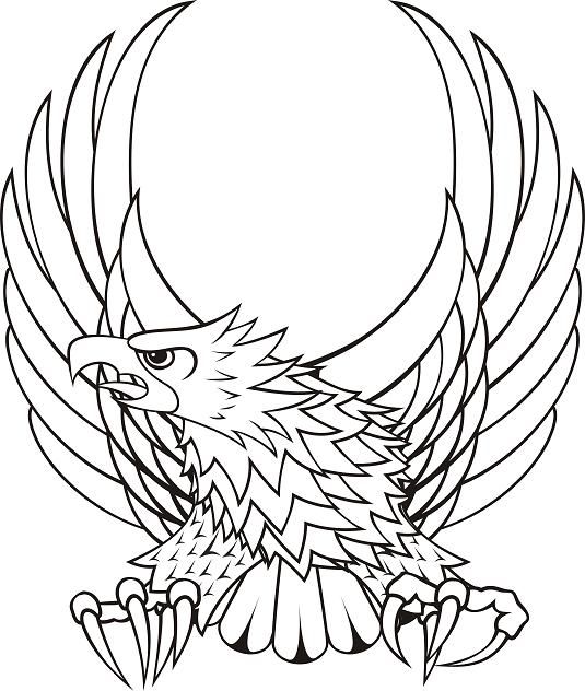 Eagle tattoos, Eagles and Design