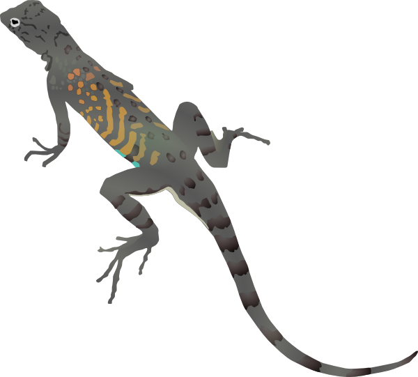 551 views Az-lizard Clip Art - vector clip art online, royalty ...
