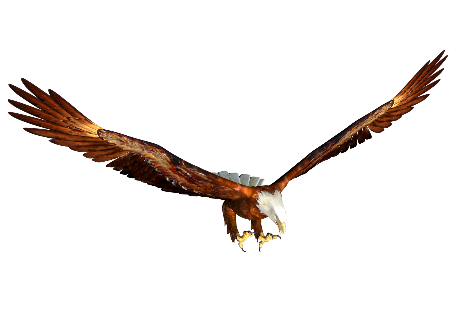 Eagle Soaring - ClipArt Best