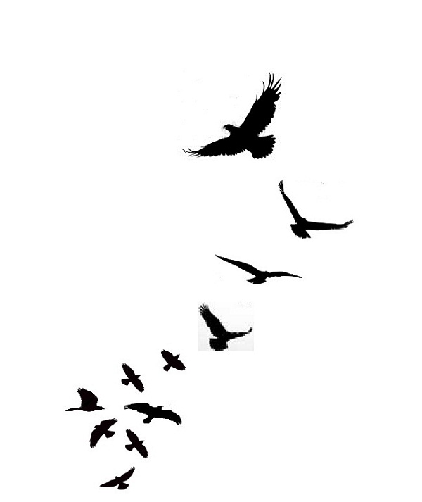 bird silhouette tattoo | Wallpapers With HD Quality