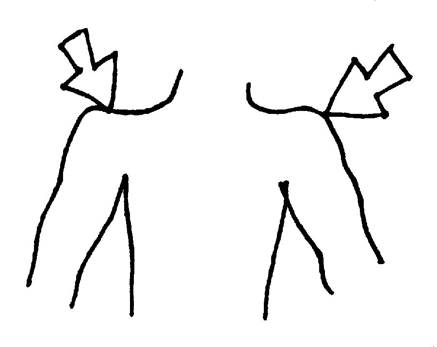 SHOILDERS