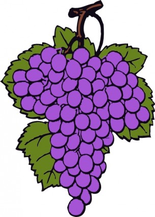 455 views Grape Cluster clip art Free vector in Open office drawing svg ...