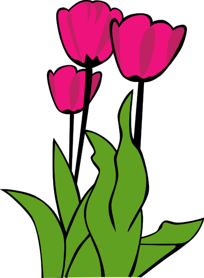 Free Tulip Clipart - Public Domain Flower clip art, images and ...