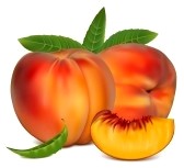 Nectarine Clipart - Free Clipart Images
