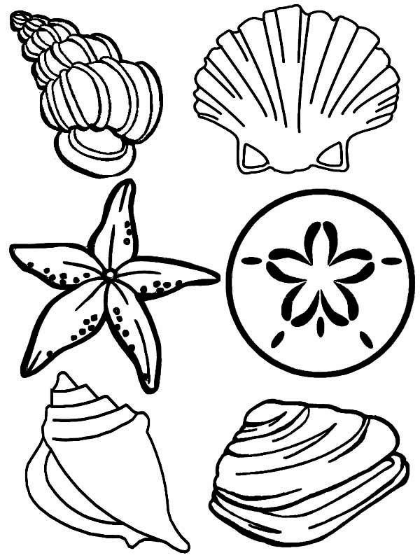 seashells-cartoon-colouring-pages-clipart-best-clipart-best