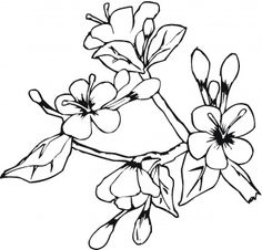 Coloring pages | Dover Publications, Coloring Pages and …