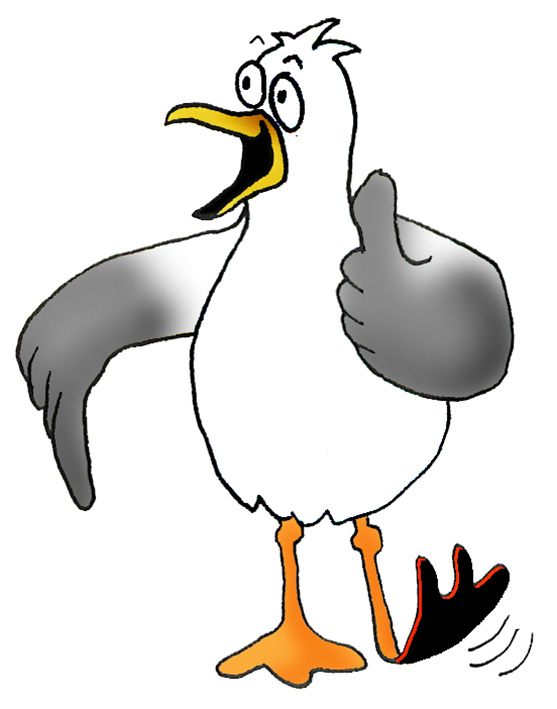 Sea Gull Cartoon - ClipArt Best