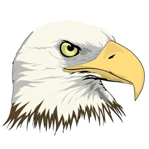 eagle - 33 Free Vectors to Download | freevectors.net