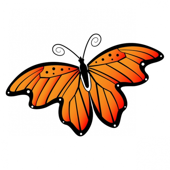 Free Butterfly Clip Art Graphics - Free Clipart Images