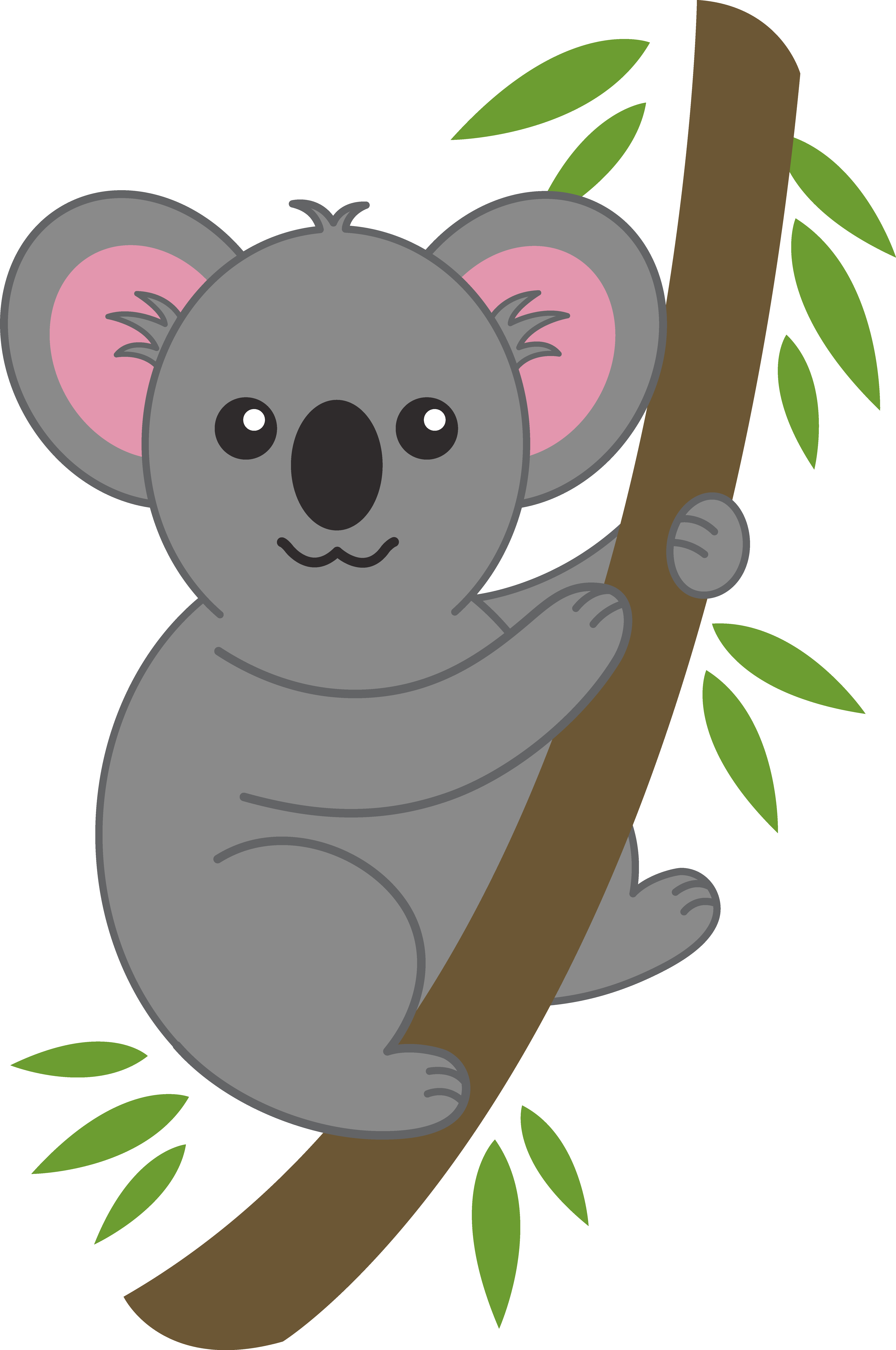 cartoon-pictures-of-koala-bears-download-3d-hd-colour-design-clipart