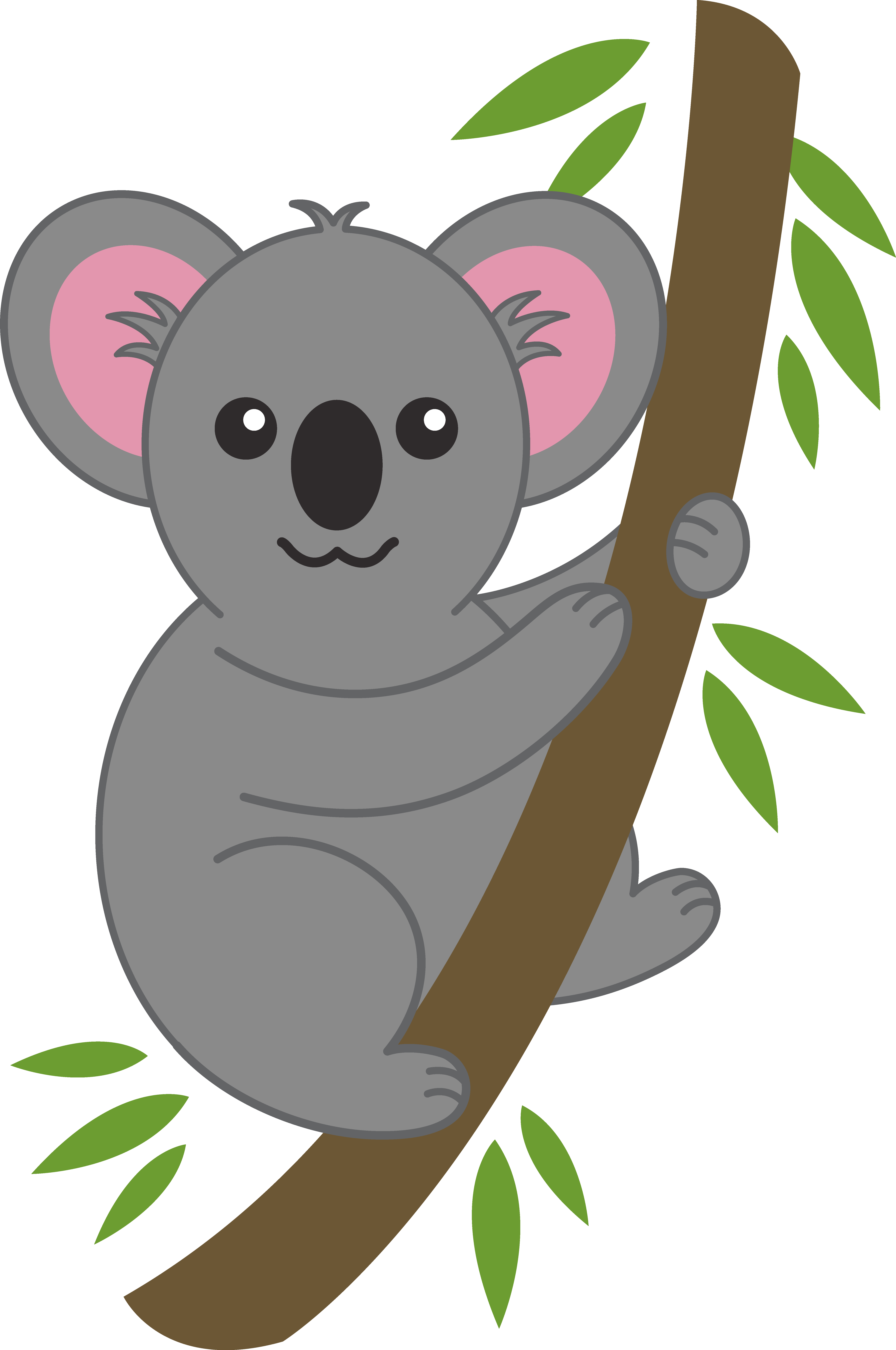 Koala Bear Clipart
 Cartoon pictures of koala bears Download 3d HD colour design ClipArt