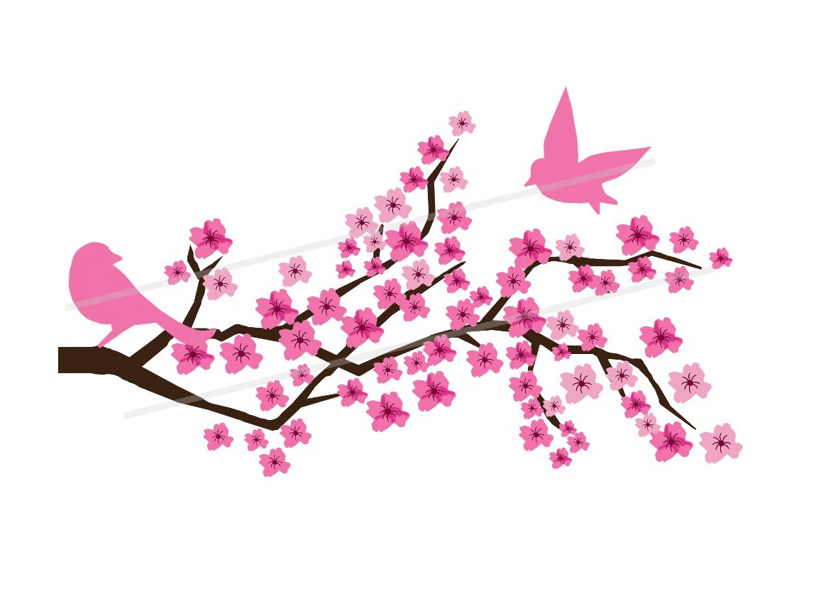 Cherry Blossom Drawings Clip Art