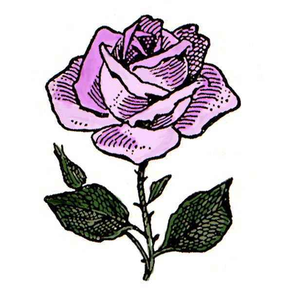 Rose Flower: Rose Flower Art