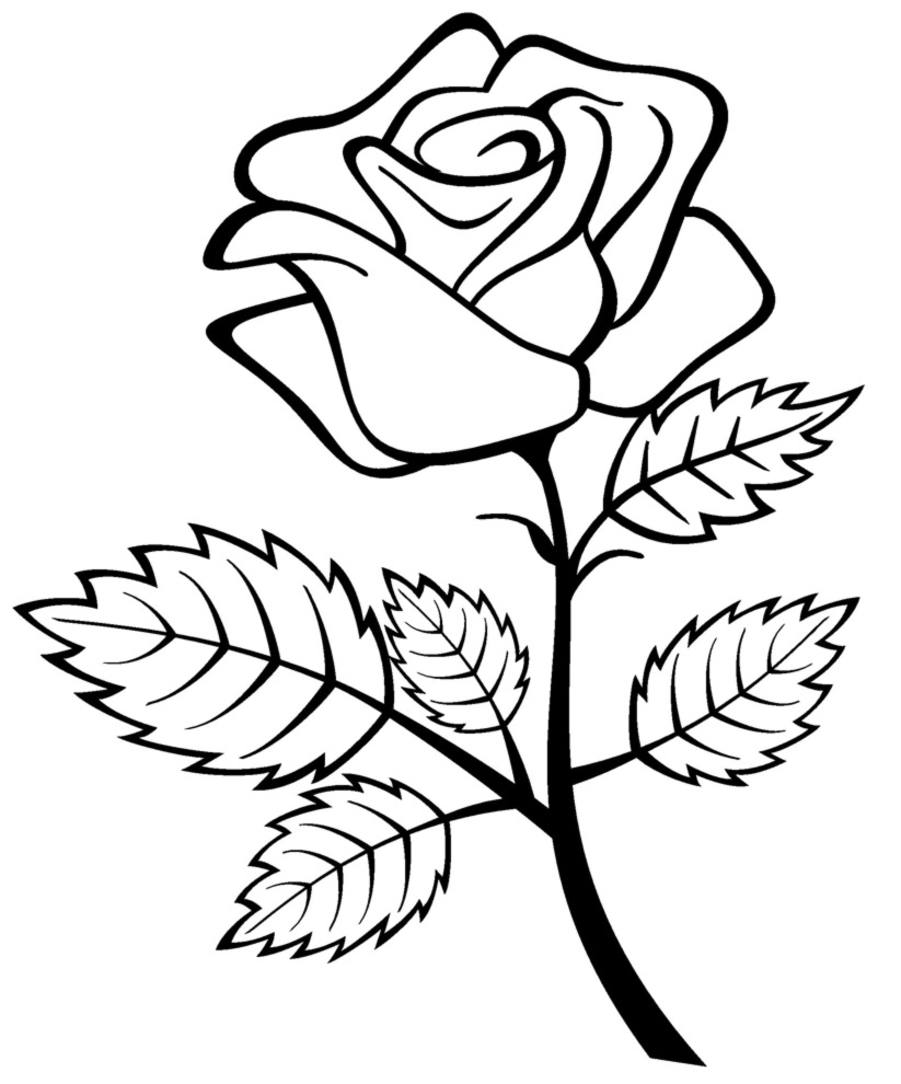 Coloring Pages Draw A Rose For Kids Coloring Pages - Drawing ...