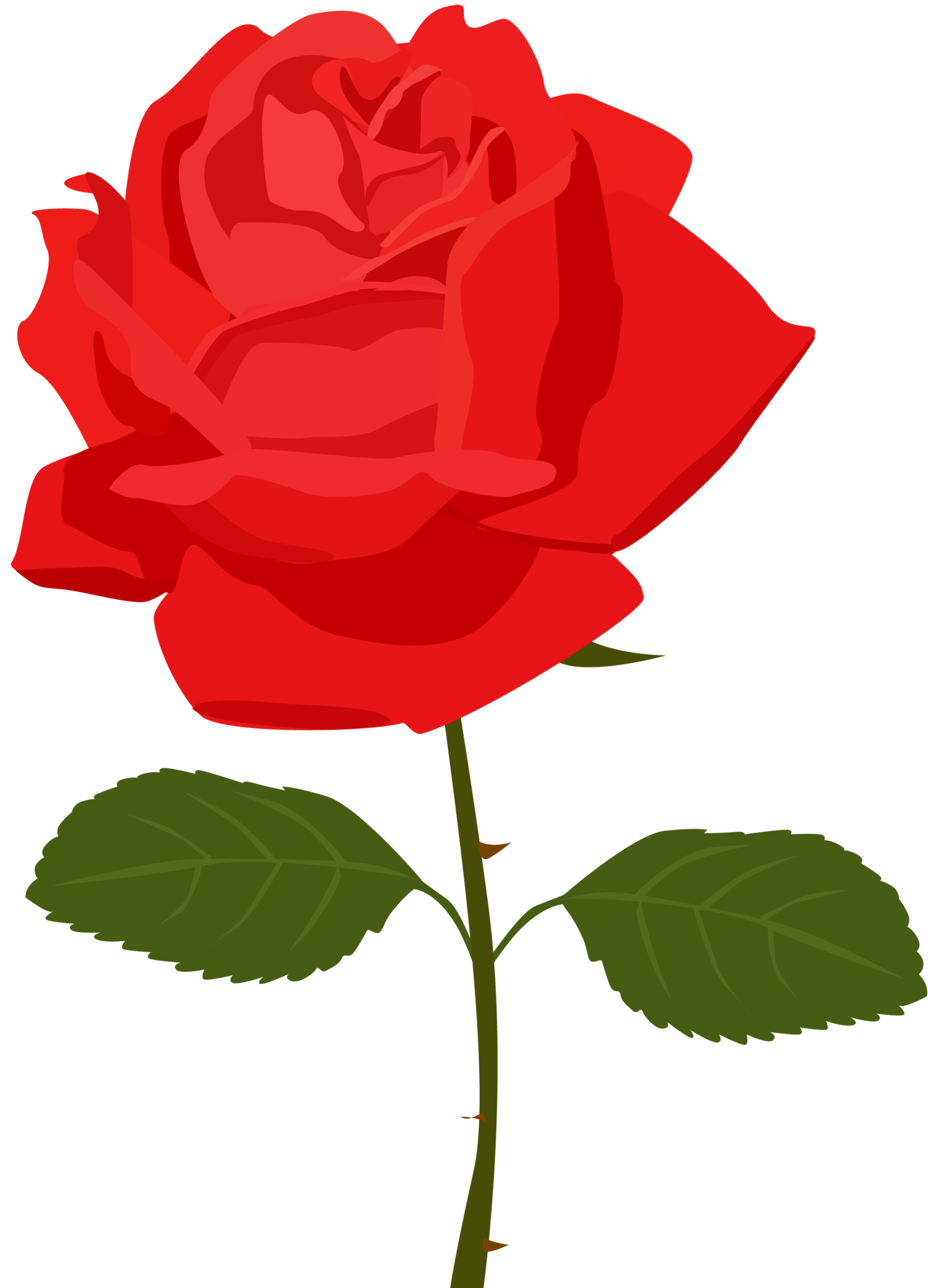 Red Rose Clip Art - Tumundografico